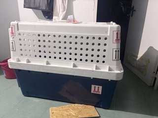 Transportín Perro Grande XL