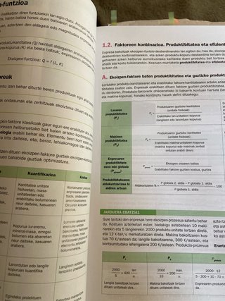 Enpresa eta negozio ereduen diseinua, 2 Batxile...