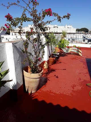 Piso en alquiler en San Bernardo en Sevilla