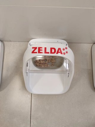 Pegatina personalizada para mascotas