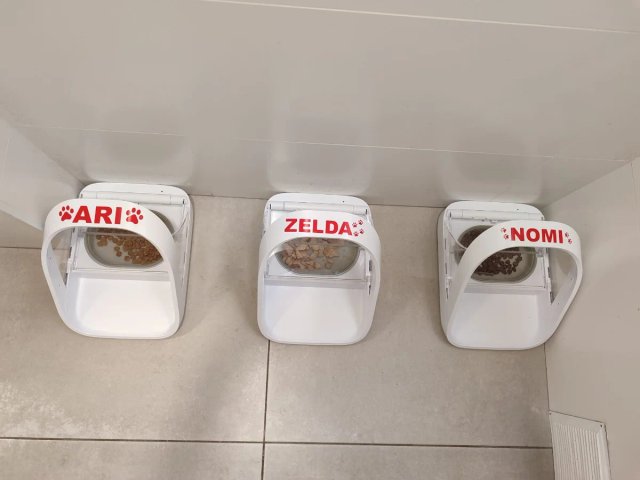 Pegatina personalizada para mascotas