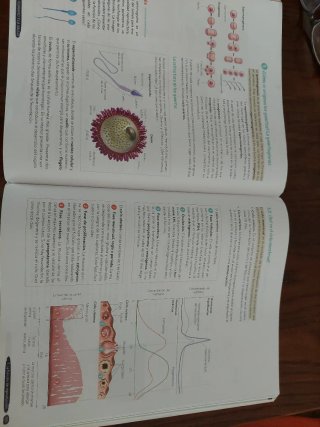 Biología y Geología 3º ESO. Libro del estudiant...