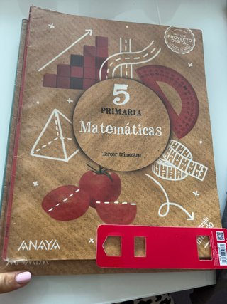 Lote libros quinto primaria Anaya