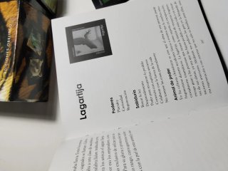 Set di carte e libri di tarocchi Barajas con scatole e libri