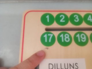 Calendario de madera educativo Goula (CATALÀ)