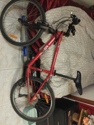Bicicleta Roja