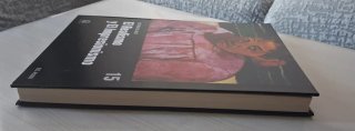Historia del arte El realismo y el impresionismo