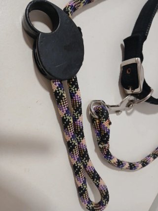 Correa y collar para perro multicolor