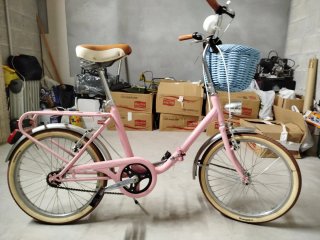Bicicletta pieghevole Rosa Bambina