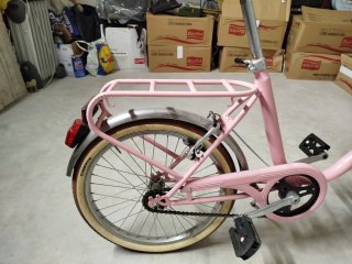 Bicicletta pieghevole Rosa Bambina