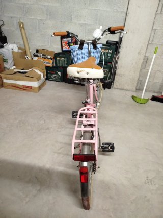 Bicicletta pieghevole Rosa Bambina