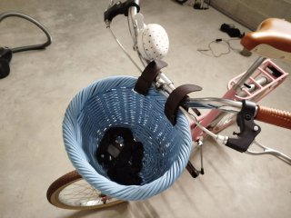 Bicicletta pieghevole Rosa Bambina
