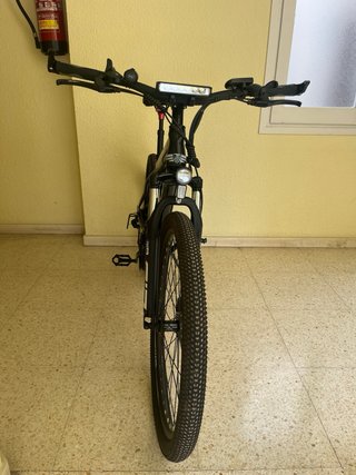 Bicicletta elettrica Tuorol