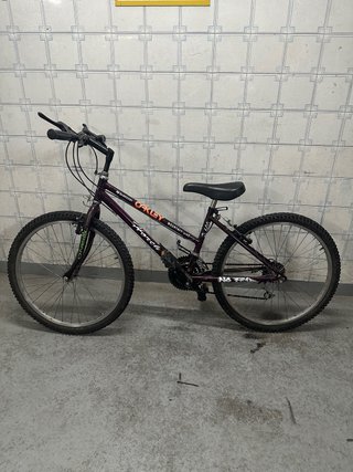 Bicicleta Montaña Morada Oakley
