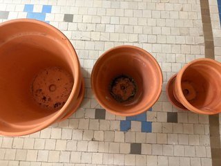 3 Macetas de Barro con Plato