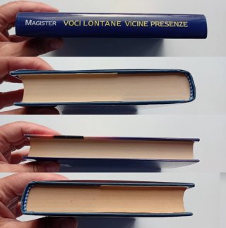 Voci lontane vicine presenze di Magister