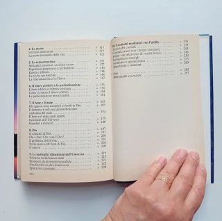 Voci lontane vicine presenze di Magister