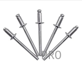 Rivet in acciaio inossidabile