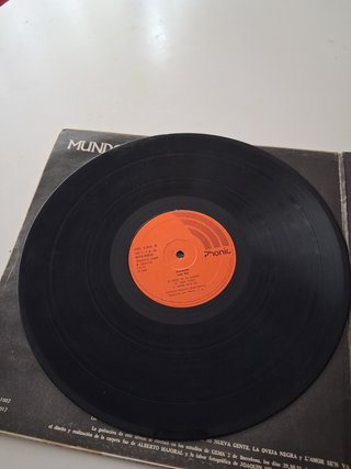 Vinilo Seguinos Lone Star