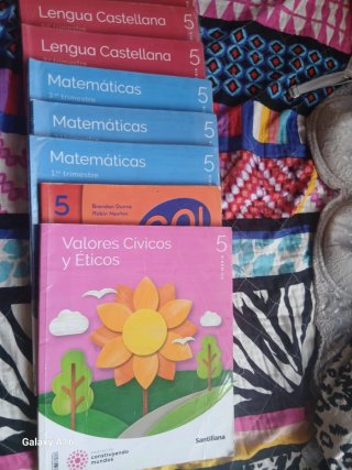 Libros de 5 y 6 de primaria