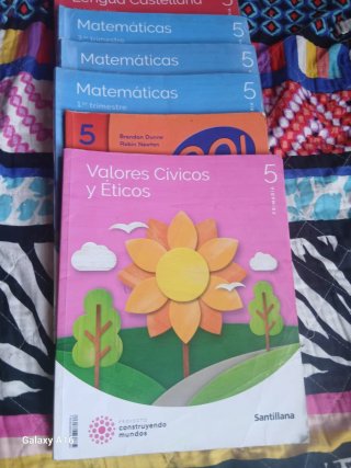 Libros de 5 y 6 de primaria