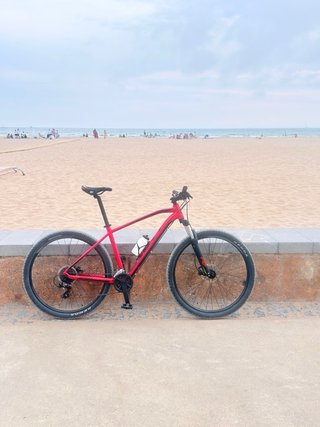Bicicleta Scott MTB R29