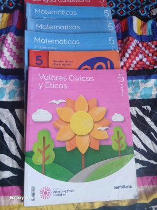 Libros de 5 y 6 de primaria