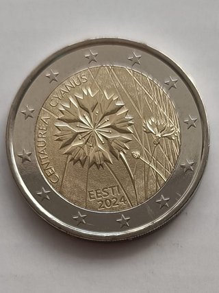 Moneda Estonia 2024 Centaurea Cyanus UNC
