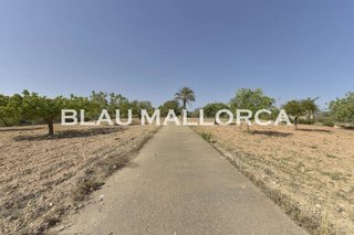Casa rural en venta en Manacor Centro en Manacor