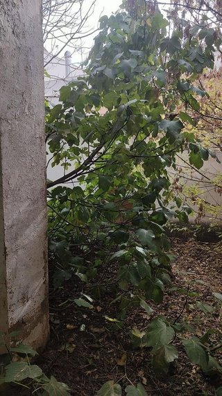 Chalet en venta en Zona Paseo de la Estación - Calle Cristo en Valdepeñas