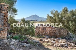 Casa rural en venta en Manacor Centro en Manacor