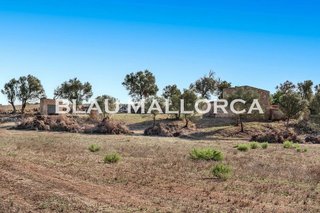 Casa rural en venta en Manacor Centro en Manacor