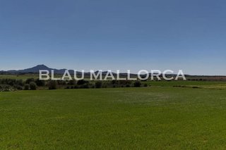 Casa rural en venta en Manacor Centro en Manacor