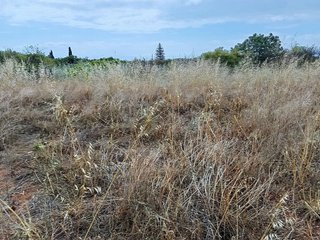 Terreno en venta en Avda. Alemania - Italia en Villarreal
