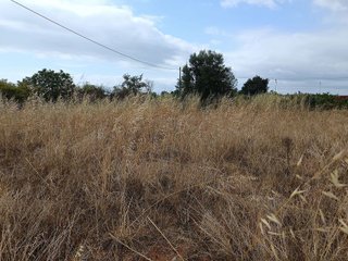 Terreno en venta en Avda. Alemania - Italia en Villarreal