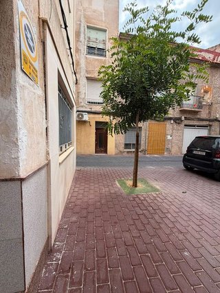Local comercial en venta en Novelda