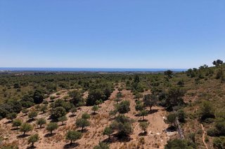 Terreno en venta en Manacor Centro en Manacor