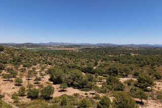 Terreno en venta en Manacor Centro en Manacor