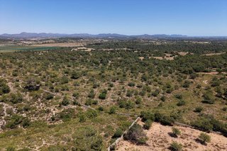 Terreno en venta en Manacor Centro en Manacor