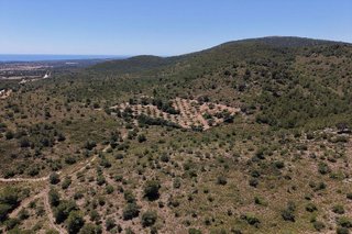 Terreno en venta en Manacor Centro en Manacor