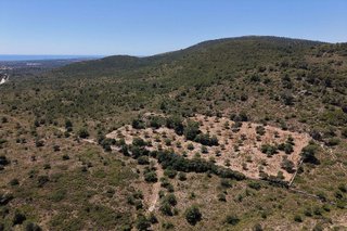 Terreno en venta en Manacor Centro en Manacor