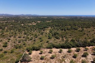 Terreno en venta en Manacor Centro en Manacor