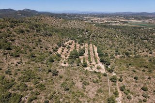 Terreno en venta en Manacor Centro en Manacor