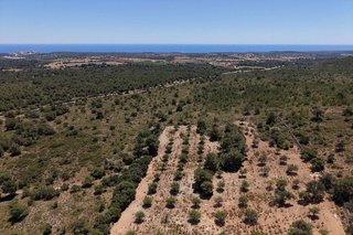 Terreno en venta en Manacor Centro en Manacor