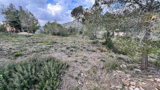 Solar en venta en Vallirana