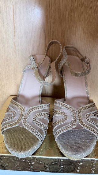 Zapatos de fiesta dorados y plateados