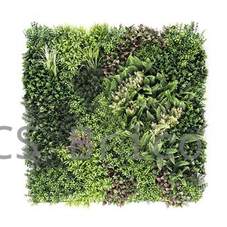 Jardín Vertical Modelo Borneo B - 1 m2