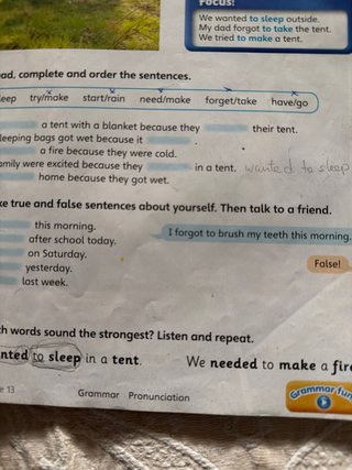 Guess What! Level 6 Pupil's Book with Enhanced ...
