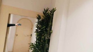 Local comercial en venta en San Agustín - Cala de Bou en Sant Josep de sa Talaia