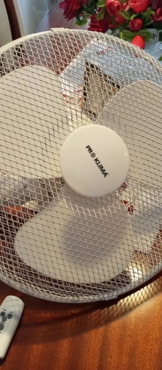 Ventilador Proklima con Mando a Distancia